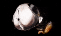 Sample Craving GIF by Alex Boya
