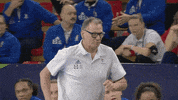 France Sport GIF by EHF