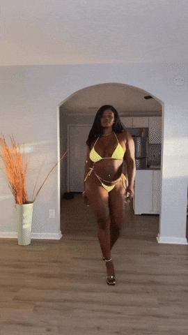 giphy.gif
