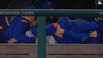Celebrate David Peterson GIF by New York Mets
