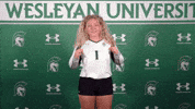 Iwuwvb24 GIF by iwusports