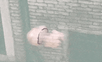 Jellyfish Venice GIF