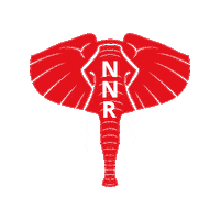 nnrepublicans news red win gop Sticker