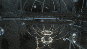 video games eidos GIF by Tomb Raider