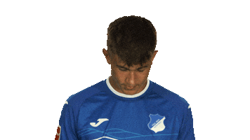 Hoffenheim Sticker by Bundesliga