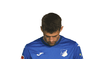 Look Up Tsg Hoffenheim Sticker by Bundesliga