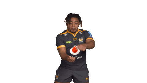 Rugby Sticker by Wasps