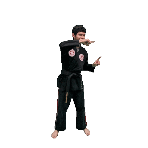 Karate Taekwondo Sticker by Team GMA