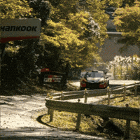 Fast Car Racing GIF by FIA World Rally Championship