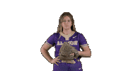 Softball Ppp Sticker by Albion College
