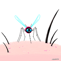 Animation Domination Fox GIF by gifnews