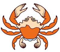 Cancer Zodiac Sticker by Star Child App