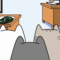 Cat Running Away GIF by MESA My Emotional Support Animal