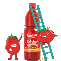 Catchup Tomas Sticker by Tambaú Alimentos