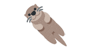 emojivid animals emoji otter emojivid Sticker