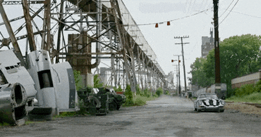 giphy.gif