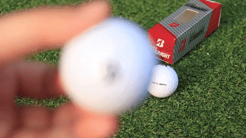 majorworld giphygifmaker GIF