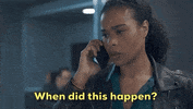 Dick Wolf Fbifam GIF by CBS