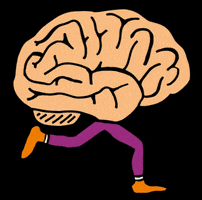 Hersenstichting collecte hersenen collecteren hersenstichting GIF