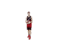 spiroucharleroi alex 5 pass libert Sticker