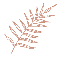 PatCas822 anna cecilia ac gifs anna cecilia joyería anna cecilia gifs Sticker