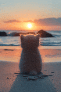 Art Cat GIF