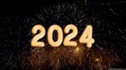Happy New Year Celebration GIF by echilibrultau