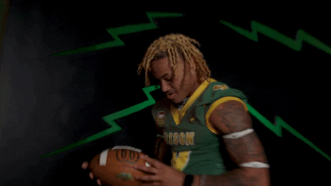 Bison Hart GIF by NDSU Athletics