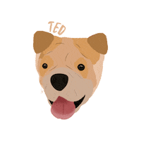Dog Ted Sticker