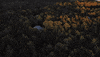 National Park Acadia GIF by Chris
