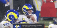 National Football League GIF by NFL