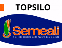 GIF by semealisementes