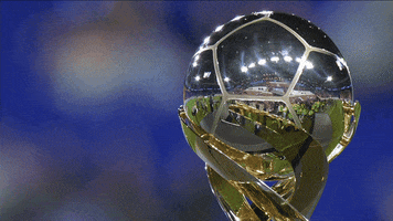 Womens Soccer Champion GIF by National Women's Soccer League