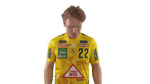 Handball-Bundesliga Handball Sticker by LIQUI MOLY HBL