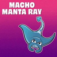 Show Up Be Here GIF by VeeFriends