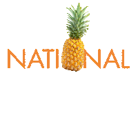 nickelodeonhotels nickelodeon spongebob pineapple spongebobsquarepants Sticker