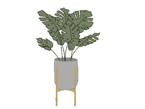 Home Plant Sticker