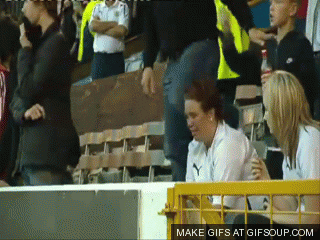 fans GIF