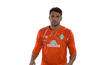 Oh No Football Sticker by SV Werder Bremen