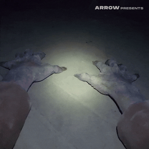 Found Footage Film GIF by Arrow Video