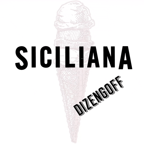 icecream gelato GIF by Gelateria Siciliana brand