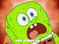 season 5 episode 3 GIF by SpongeBob SquarePants