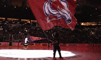 Colorado Avalanche Hockey GIF by Colorado Eagles
