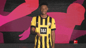 Football Sport GIF by Bundesliga