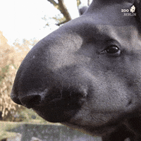 Food Eat GIF by Zoo Berlin