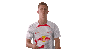 Dani Olmo Ok Sticker by RB Leipzig