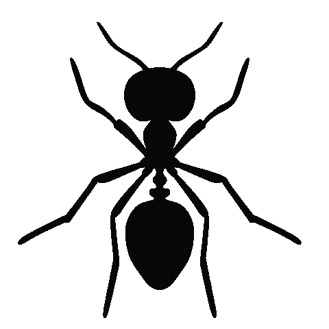 Fashion Week Sunglasses Sticker by Marcel Katz Dalí / The Art Plug