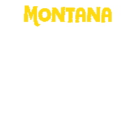 Election 2020 Montana Sticker by Creative Courage