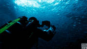 recording blue planet GIF by BBC America