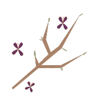 cherry blossom spring Sticker by HolidayPirates